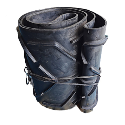 W2100 53870 kleine transportband